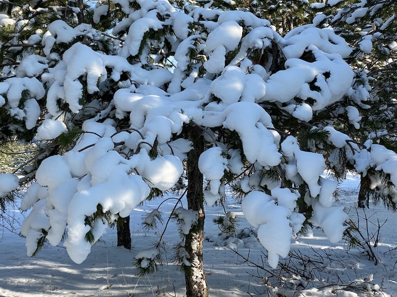 Trabzon'un Doğal Güzellikleri